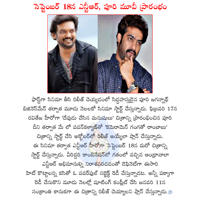 telugu hero ntr,ntr and puri jagannath combo movie will start in september,puri and raviteja combo movie devudu chesina manushulu,pawan kalyan and puri jagannath combo movie cameraman gangatho rambabu  telugu hero ntr, ntr and puri jagannath combo movie will start in september, puri and raviteja combo movie devudu chesina manushulu, pawan kalyan and puri jagannath combo movie cameraman gangatho rambabu